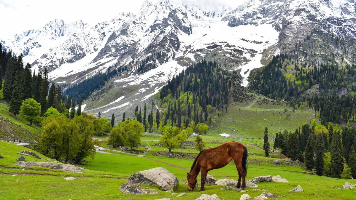 Explore the Majestic Kashmir: A Complete Tour Guide by Vista World Tours from Hubli